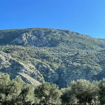 Farmhouse Qeparo *