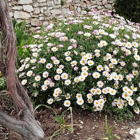 Farmhouse Qeparo *
