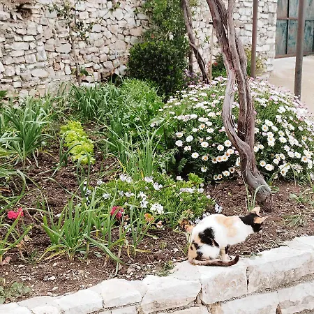 Apartment Farmhouse Qeparo *
