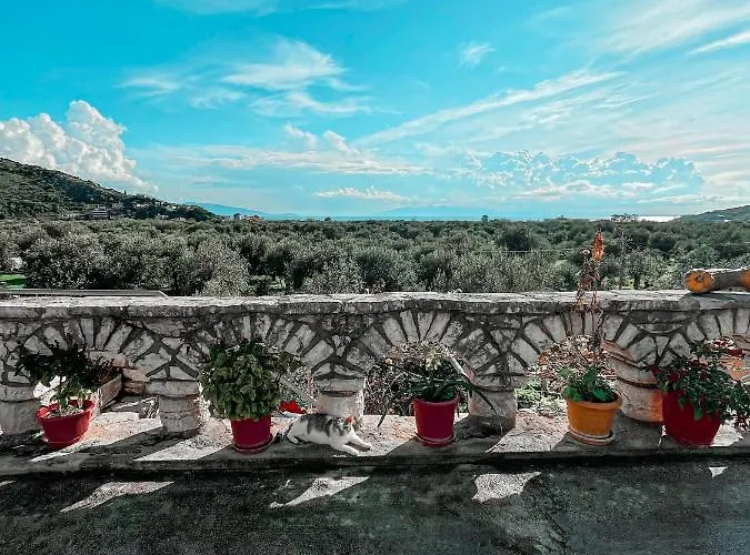 公寓 Farmhouse Qeparo *